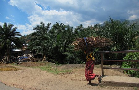 Burundi 5 October: Daytrip Rumonge and Blue Bay, Lake Tanganyika ...