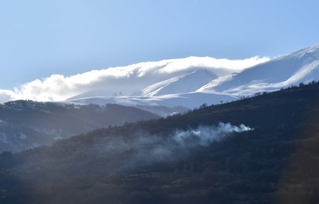 todorka torpy petrovska